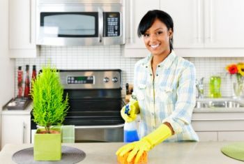 House Cleaning by The Pristine Company, LLC